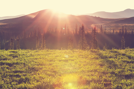 Tundra landscapes above Arctic circleの写真素材