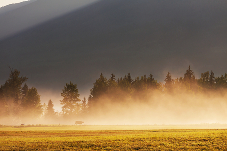 Rural landscapes at sunriseの写真素材