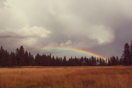 Rainbowの写真素材