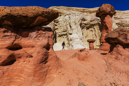 Toadstool hoodoos in the Utah desert, USA.の写真素材