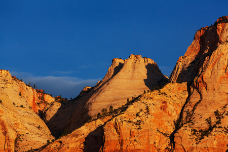 Hike in Zion National Parkの写真素材