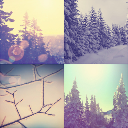 Winter vacation collageの写真素材
