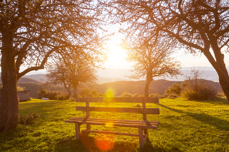 Serenity spring garden at sunriseの写真素材