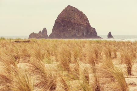 Cannon Beach, Oregon Coast, USAの写真素材