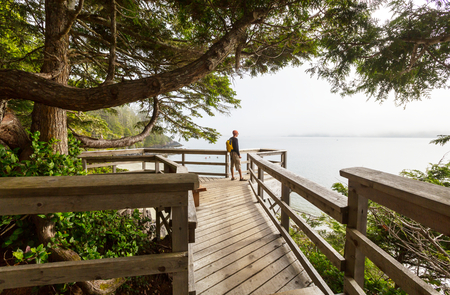 Vancouver Island.の写真素材