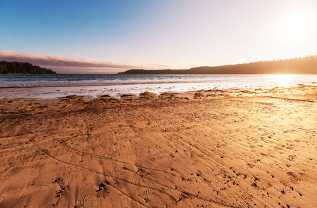 Vancouver Island.の写真素材