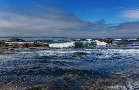 Vancouver Island.の写真素材
