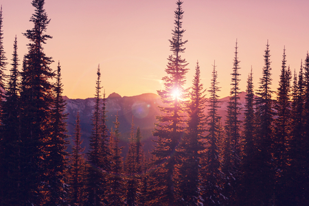 Scenic Sunset in the mountainsの写真素材