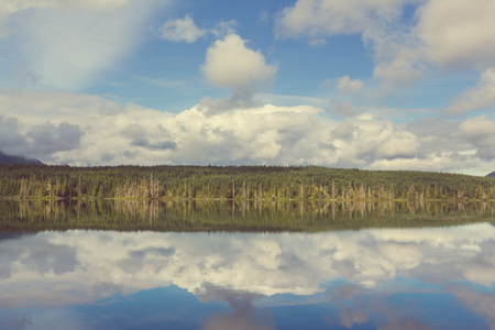 Vancouver Island.の写真素材