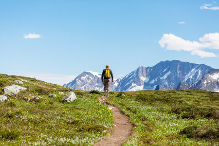 Hiking man in Canadian mountains. Hike is the popular recreation activity in North America. There are a lot of picturesque trails.の写真素材