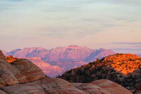 Zion  National Park at sunrise. Utah, Usaの写真素材