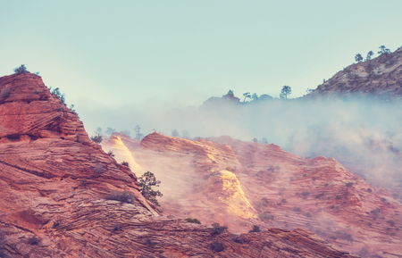 nature view of the mountainの写真素材