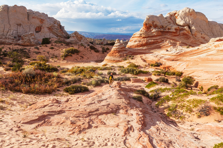 Vermilion Cliffs National Monument Landscapes at sunriseの写真素材
