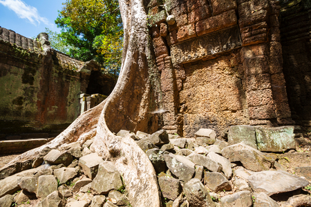 Ancient Khmer civilization ruins of Angkor near Siem Reap, Cambodiaの写真素材