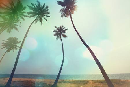 Serenity tropical beachの写真素材