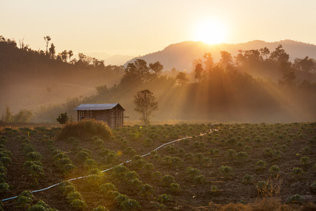 Rural landscapes in Northern Thailandの写真素材