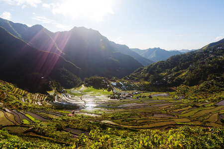 Beautiful Green Rice terraces in the Philippines. Rice cultivation in the Luzon island.の写真素材
