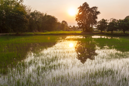 Rural landscapes in Northern Thailandの写真素材