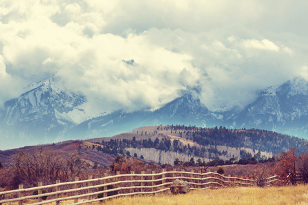 Colorful yellow autumn in Colorado, United States. Fall season.の写真素材