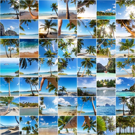 Serenity on the tropical beachの写真素材