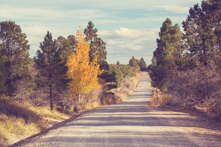 Colorful Autumn scene on countryside road in the sunny morning in Sierra Nevada areaの写真素材