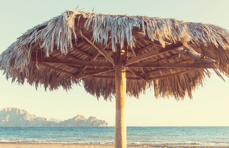 Parasols on the sea beachの写真素材