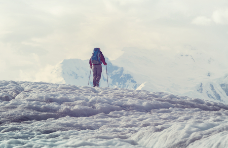 Hike in Wrangell-St. Elias National Park, Alaska.の写真素材
