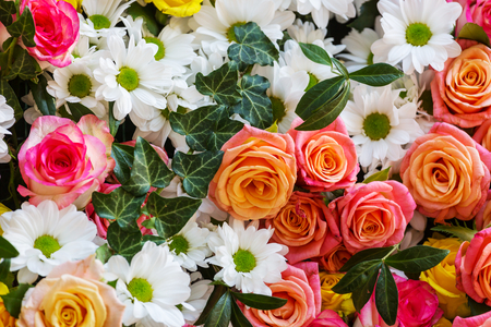 Close-up shot of the beautiful flowers. Suitable for floral background.の写真素材