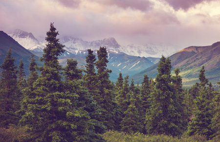 Picturesque Mountains of Alaska in summer. Snow covered massifs, glaciers and rocky peaks.の写真素材