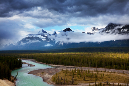Picturesque mountain view in the Canadian Rockies in summer seasonの写真素材