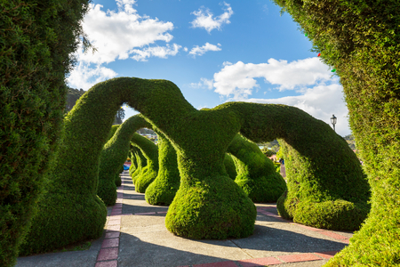 Beautiful evergreen landmark park in Costa Rica, Central Americaの写真素材
