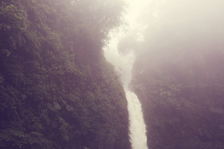 Serenity Cloud forest in Costa Ricaの写真素材