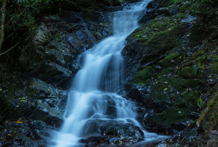 Beautiful small waterfall in green jungle, Costa Rica. Central Americaの写真素材