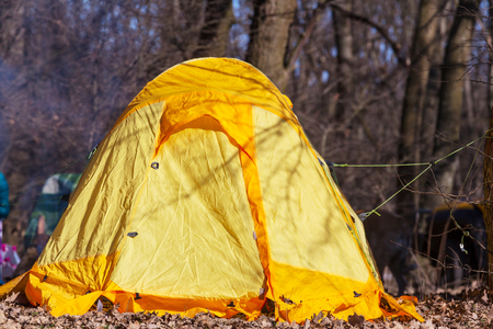 tent in the forestの写真素材