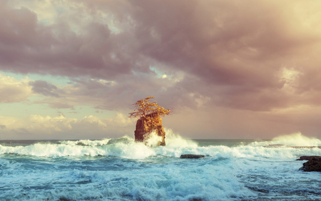 Beautiful tropical Pacific Ocean coast in Costa Ricaの写真素材