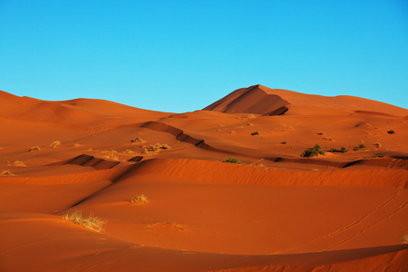 Scenic sand dunes in desertの写真素材