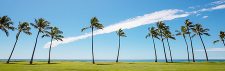 Amazing hawaiian beachの写真素材