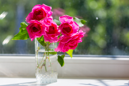 Pink Rose, beautiful nature backgroundの写真素材