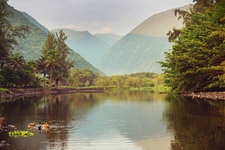 Picturesque view of Hawaii islandの写真素材