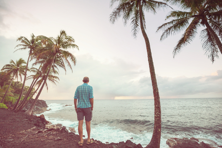Amazing hawaiian beachの写真素材