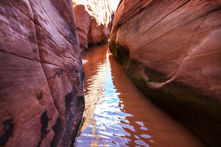 Slot canyon in Grand Staircase Escalante National park, Utah, USA. Unusual colorful sandstone formations in deserts of Utah are popular destination for hikers.の写真素材