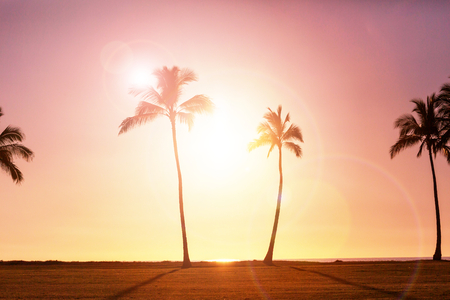 Serenity on the tropical beachの写真素材