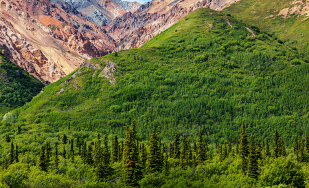 Picturesque Mountains of Alaska in summer. Snow covered massifs, glaciers and rocky peaks.の写真素材