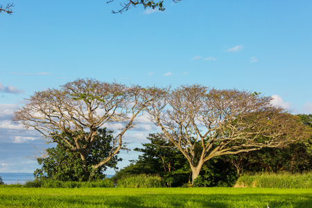 Beautiful landscapes in Oahu island, Hawaiiの写真素材