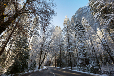 Beautiful early spring landscapes in Yosemite National Park, Yosemite, USAの写真素材