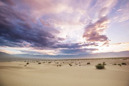 Sand dunes in Death Valley National Park, California, USAの写真素材