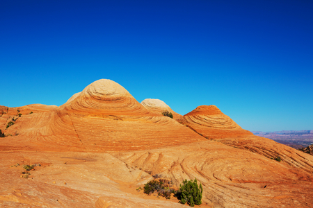 Sandstone formations in Utah, USA. Yant flatsの写真素材