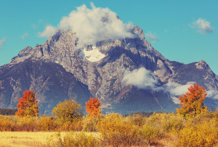 Bright colors of the Fall season in Grand Teton National Park, Wyoming, USAの写真素材