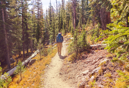 Man hiking bay the trail in the forest.の写真素材