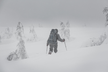 Hikers in the winter mountainsの写真素材